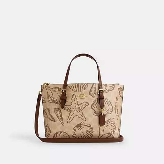 COACH CROSSBODY BAG