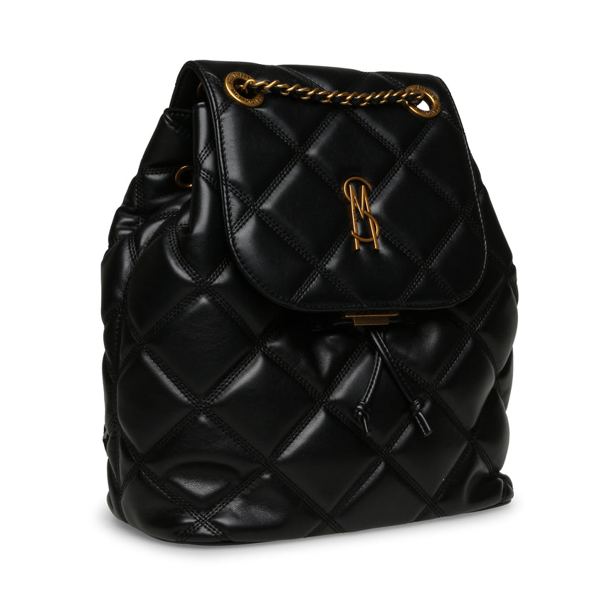 S.T.E-V.E M.A.D-D.E.N BACKPACK Bag