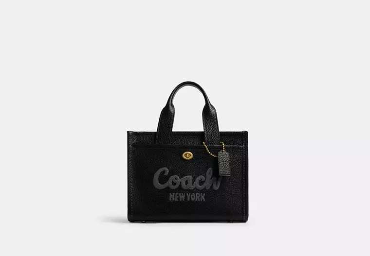 C-O-A-C-H CROSSBODY Bag