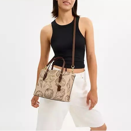C-O-A-C-H CROSSBODY BAG