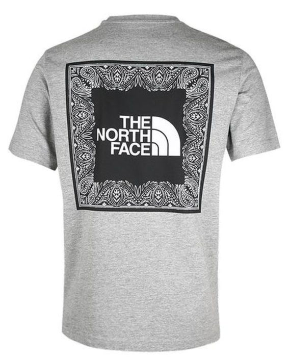 the north face gray
