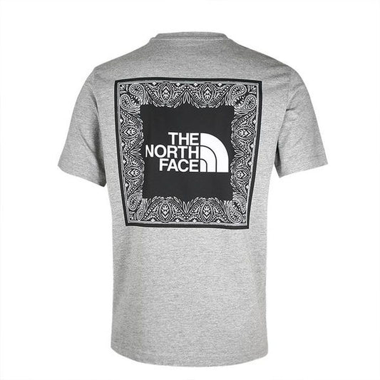 the north face gray